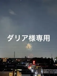 ダリア様専用ページ