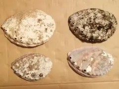 アワビ貝殻　４点セット