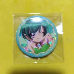 ぴちぴちピッチ あらら 缶バッジ セリア