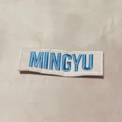 ミンギュ MINGYU ワッペン