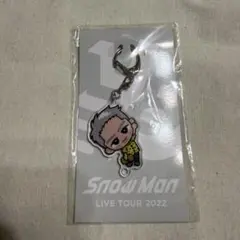 【期間限定値下げ】【新品未開封】すのチル キーホルダー 岩本照