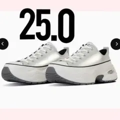 converse ALL STAR SURGETRAINER LE OX