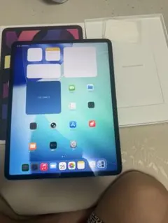 訳あり】iPad Pro（第1世代) A1980 256GB ペン、ケース有 - メルカリ