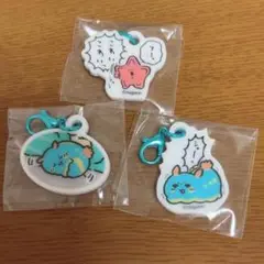 アザラシたちのアクリルチャーム　3個セット売り