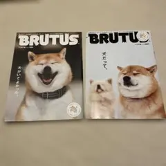 Item thumbnail for item 3fe3f89f-1a72-456f-b497-ac289bb32e7f