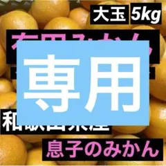 しゅんだい様専用 和歌山県産 有田みかん 箱込み約5kg 大玉 訳あり