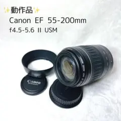 Item thumbnail for item 53b4fe13-28f7-48ad-9bb5-8f7d9ac1c170