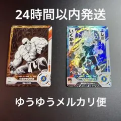 アドバンスパック新規師弟2枚セット APT-012 ベジータAPT-020亀仙人