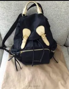 BURBERRY 　ヒップバッグ　中古美品　限定品国内発送ブラック未使用品に近い