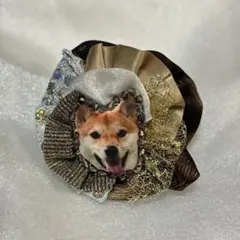 Item thumbnail for item 60e38db5-716f-4585-be34-103ec5cd5688