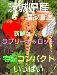 ♡新鮮な人参ラブリーキャロット♡のサムネイル
