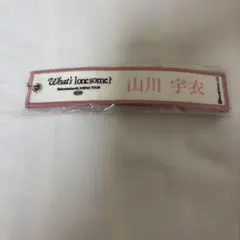 ネームタグキーホルダー　山川宇衣