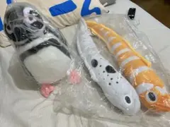 キョーリン 大型 ぬいぐるみ ネオケラトドゥス キョーリン 大型 ぬいぐるみ ネオケラトドゥス 抱きぐるみ - メルカリ