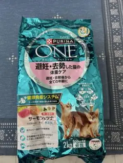 Item thumbnail for item ea737d04-b51e-42e3-ac7b-55da826f1055