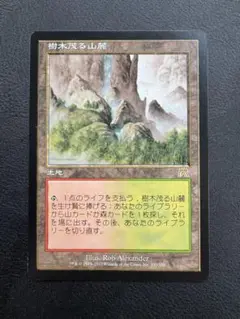 《樹木茂る山麓/Wooded Foothills》[ONS] 土地R
