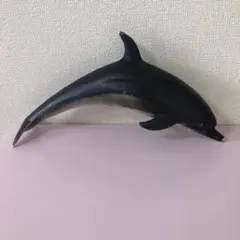 イルカ玩具のサムネイル