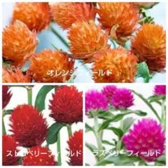 alice.1112.0406様 リクエスト 2点 まとめ商品