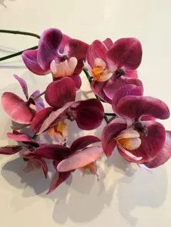 リアンファレノ 造花 濃いピンク 2本セット