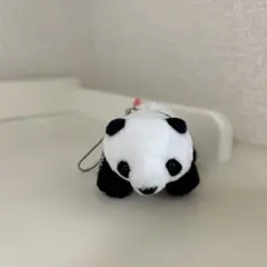 上野動物園⭐︎パンダ　キーホルダーのサムネイル