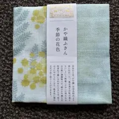 Item thumbnail for item 436142ed-4238-4c8a-9dc9-f9579820e94f