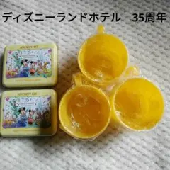 ディズニーランドホテル　35周年　アメニティ缶 2個 プラコップ3個 未使用品