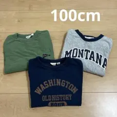 Item thumbnail for item ab295c85-8126-43c8-a0e0-d6131d538965