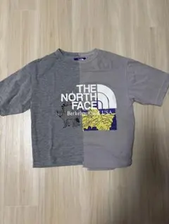TheNorthFace Tシャツのサムネイル