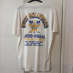 ホリスター HOLLISTER シャツ 半袖 ストライプ Tシャツ 白T ロゴ