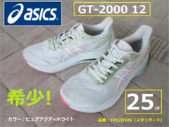 希少 asics アシックス GT-2000 12 ランニングシューズ 25.0