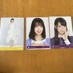 阪口珠美 生写真 3枚