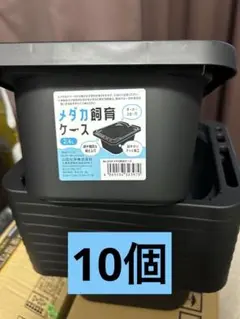メダカ飼育セットのサムネイル