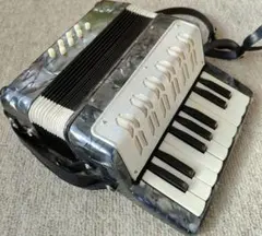 2025年最新】キョーリツ アコーディオンの人気アイテム - メルカリ