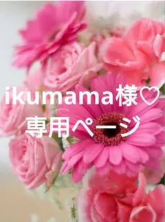 ikumama様 リクエスト 3点 まとめ商品