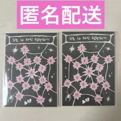 スキズ バンチャン ステッカー ピック　Doit platform 2つセット