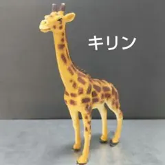 キリン 動物フィギュア