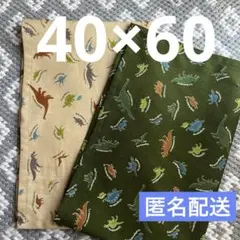 ランチョンマット　40×60 恐竜柄　2枚セット