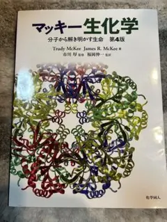 Item thumbnail for item ae3f3991-2b50-4bff-b298-bc9361e9ff01