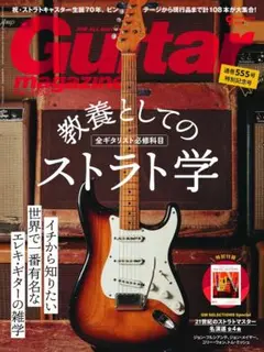 3/18まで特価　バーガンディミスト　ストラト　アッセンブリー　history 3/18まで特価 バーガンディミスト ストラト アッセンブリー