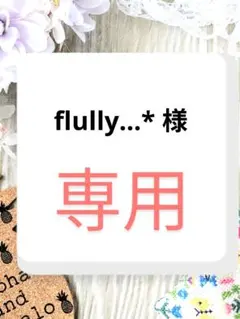 flully…* 様　専用ページ
