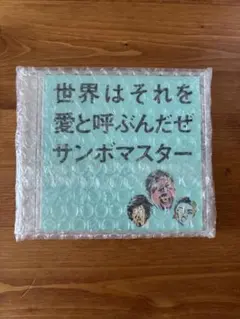 サンボマスター「世界はそれを愛と呼ぶんだぜ」CD