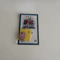 straykids チャンビン SKZOO ポラロイド - メルカリ