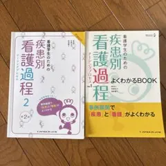 看護学生のための疾患別看護過程(ナーシングプロセス). 2