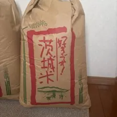 森のくまさん20kg 令和7年度産森のくまさん 20kg - メルカリ