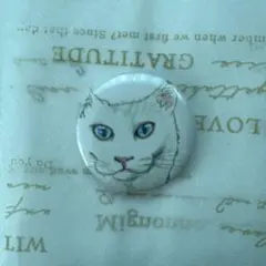 Item thumbnail for item 4c289c13-cc1c-44b6-98ca-b5afcb0988c5