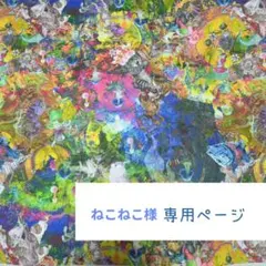 【ねこねこ様専用ページになりました】