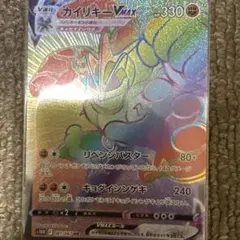 カイリキーVMAX HR 087/067