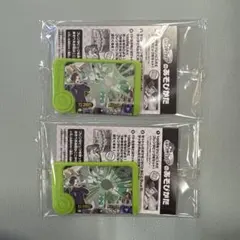 ポケモンフレンダ 白いジガルデ 2枚セット