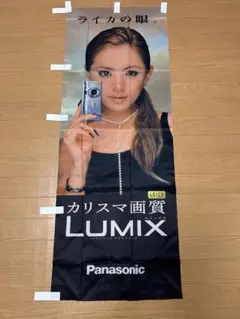 2026年最新】浜崎あゆみ lumixの人気アイテム - メルカリ