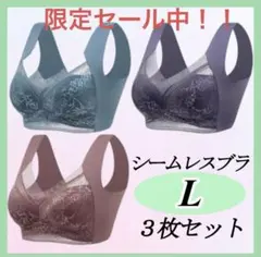 シームレスブラ ノンワイヤー 大きい ナイトブラ 着痩せ 美胸 3枚セット 下着