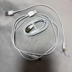 USBケーブル 1m 2本 30cm 1本
